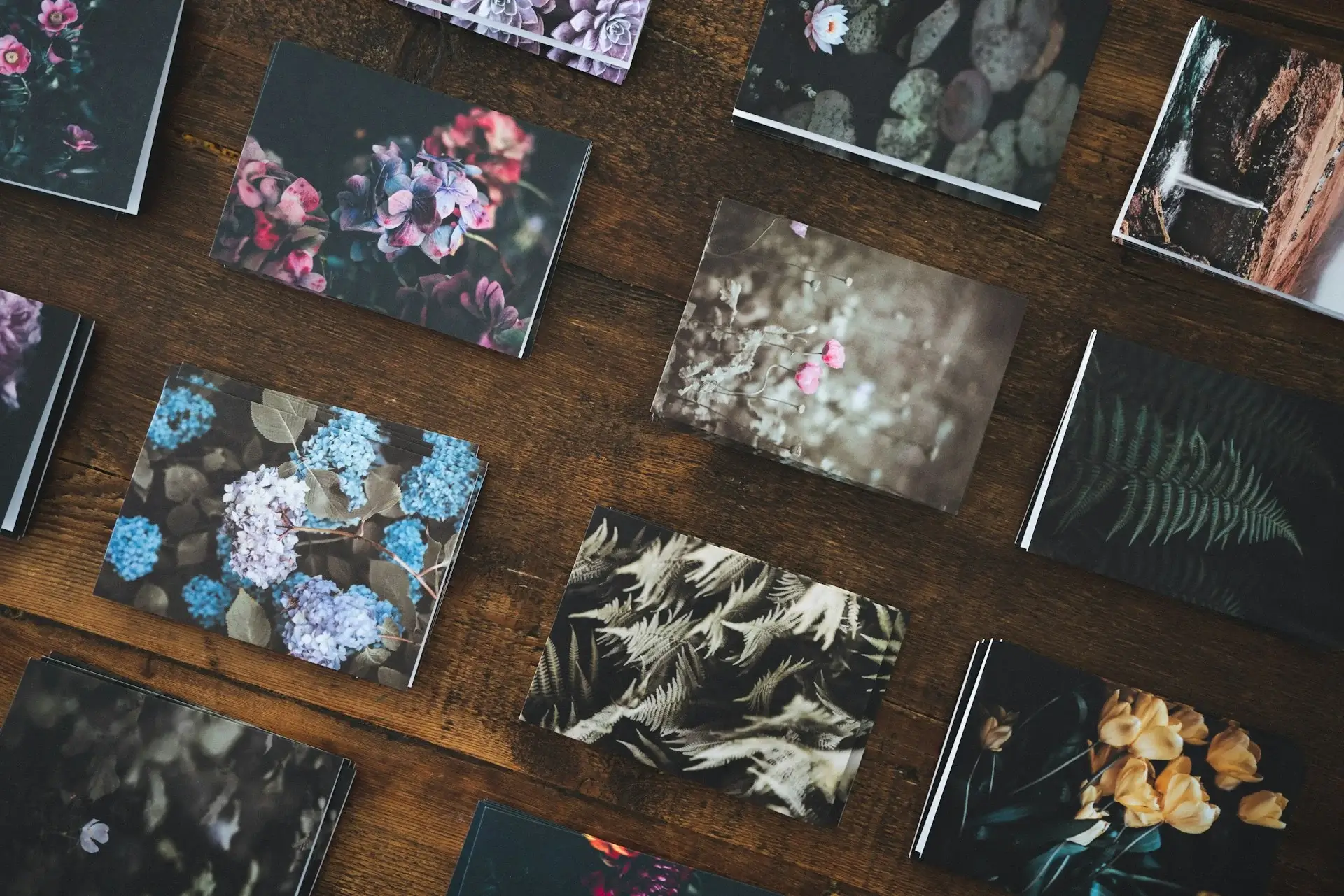 Collection of high-quality printed postcards showcasing vibrant floral designs by Ashoka Computer's offset printing services 